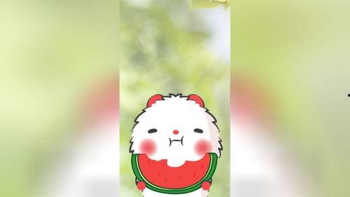 老鼠直播吃瓜,老鼠吃瓜大揭秘