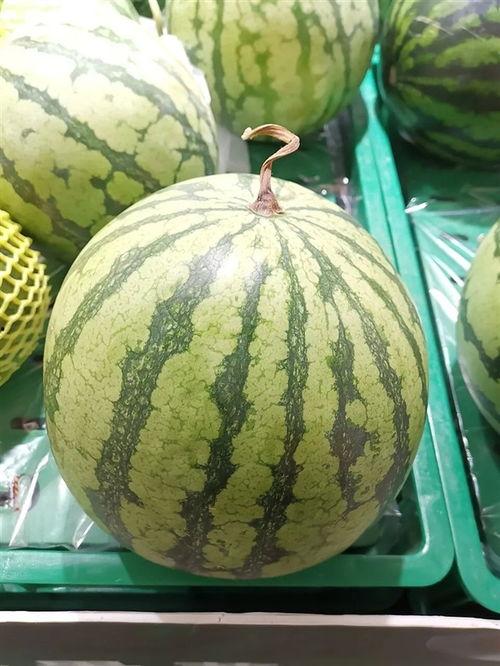 吃最大的瓜是什么瓜,揭秘“吃最大瓜”的神秘瓜种