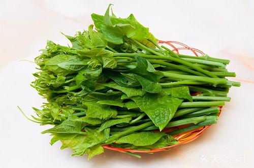 葵瓜尖怎么吃最好,探索最佳食用方法
