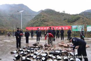 吃瓜事件康县,揭秘背后真相与反思