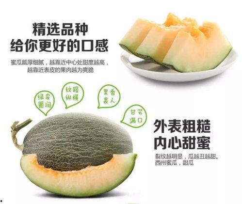 吃蜜瓜会便秘吗,蜜瓜食用后便秘？揭秘蜜瓜与便秘的关系