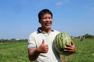 华一陪读吃瓜,揭秘陪读生活背后的“吃瓜”故事