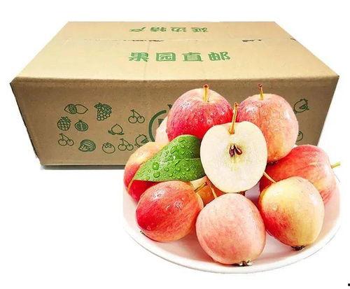 中医讲吃瓜不好,夏日吃瓜需谨慎，揭秘瓜果之双重影响