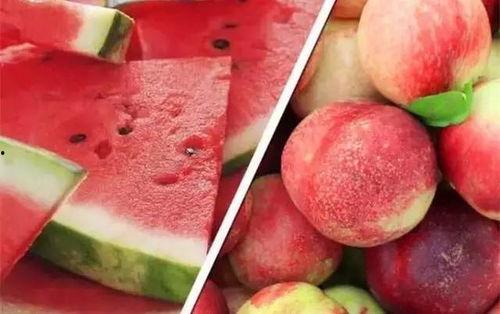 呆瓜能吃吗石瓜吃不动,探索食物的趣味与挑战