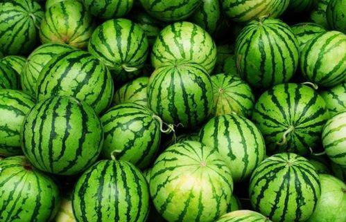 夏天吃四瓜是那四瓜,夏日四瓜养生之道