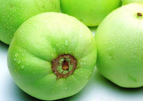 吃口新鲜瓜,尽享瓜果新滋味