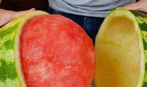 豪江吃瓜,揭秘娱乐圈幕后风云