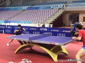 乒超节目吃瓜,赛场之外，吃瓜群众揭秘幕后故事