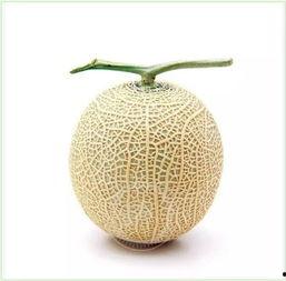 哈苏吃瓜,揭秘娱乐圈的甜蜜与苦涩