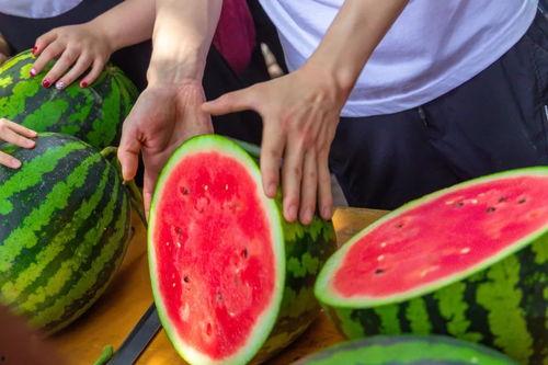 吃瓜全集免费,揭秘娱乐圈幕后真相，免费畅读大揭秘