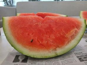 糖果吃瓜种西瓜,种出甜蜜西瓜之旅