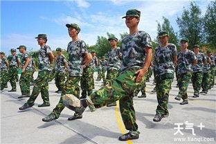 文产院军训吃瓜,吃瓜群众围观青春风采