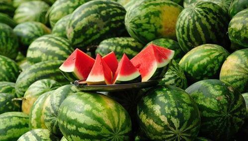 吃瓜的瓜甜不,揭秘吃瓜群众的甜蜜生活